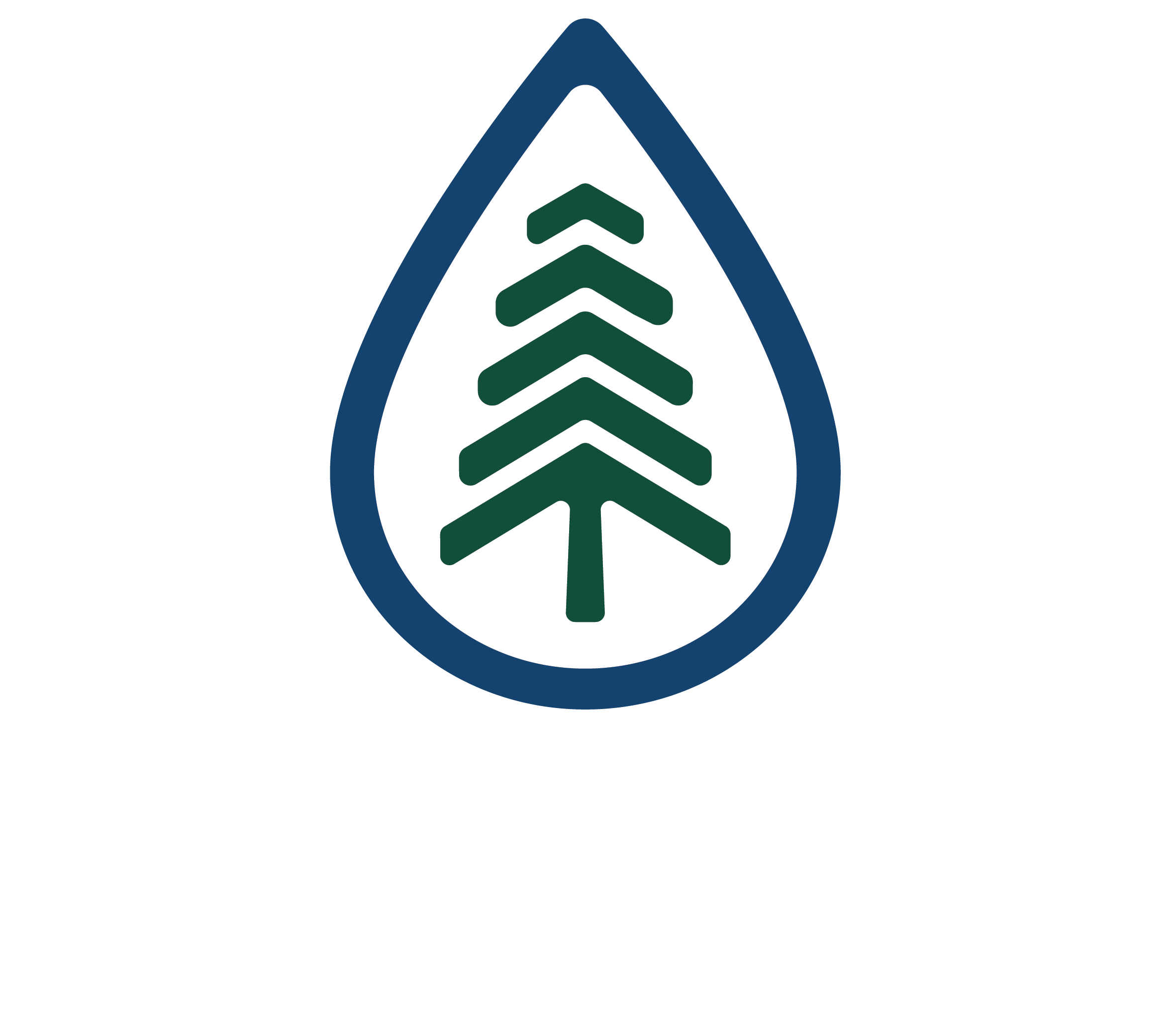 Blue Pine Plumbing primary logo