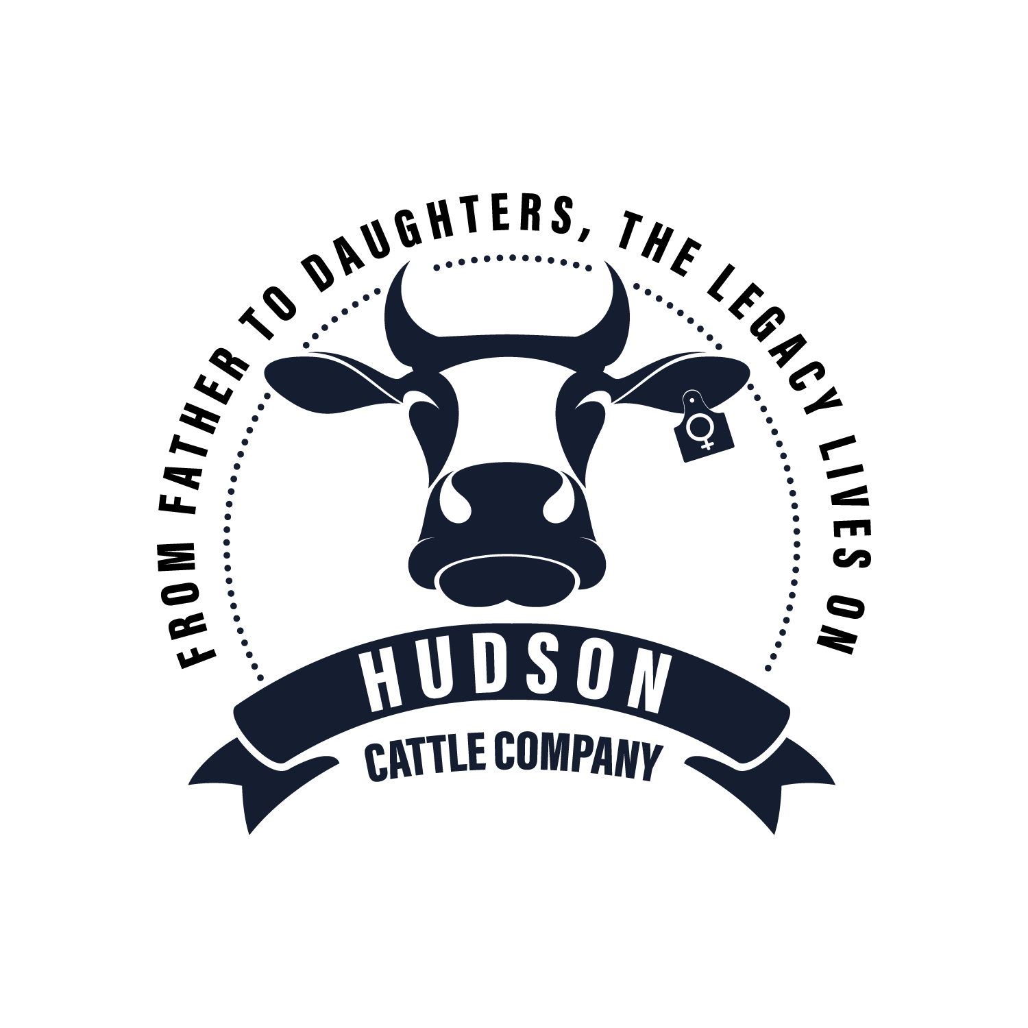 Hudson Cattle Company primary logo